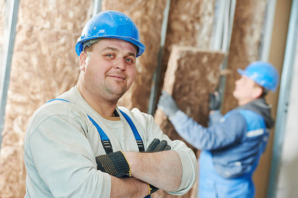 Best Cellulose Insulation in Lone Jack, MO