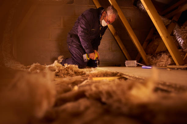 Best Insulation Maintenance and Repair in Lone Jack, MO